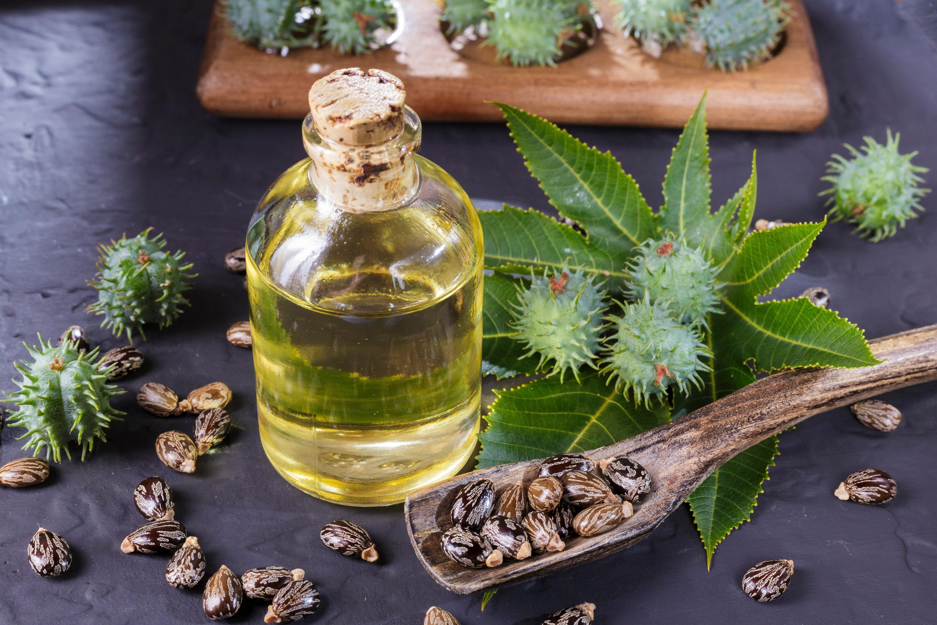 A glass bottle filled with castor oil alongside fresh castor plant leaves and seeds on a dark background.