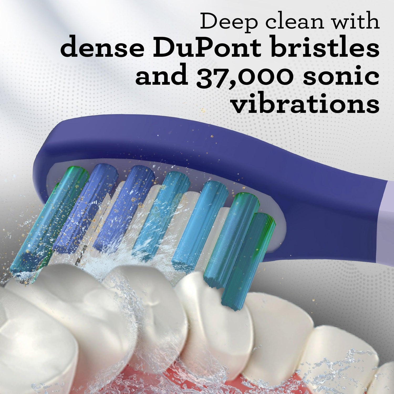 GuruNanda Lion & Lamb 2.0 Replacement Brush Head (Pack of 6) - Lavender