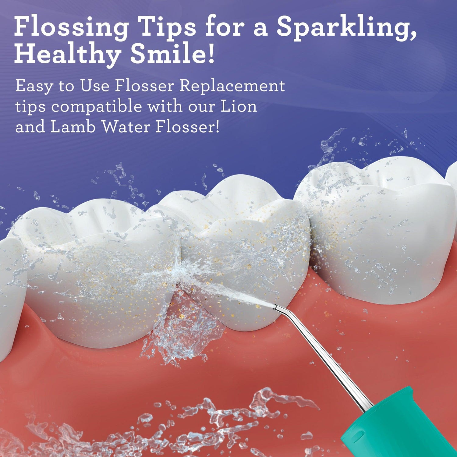 Lion & Lamb 2.0 Replacement Water Flosser Tips