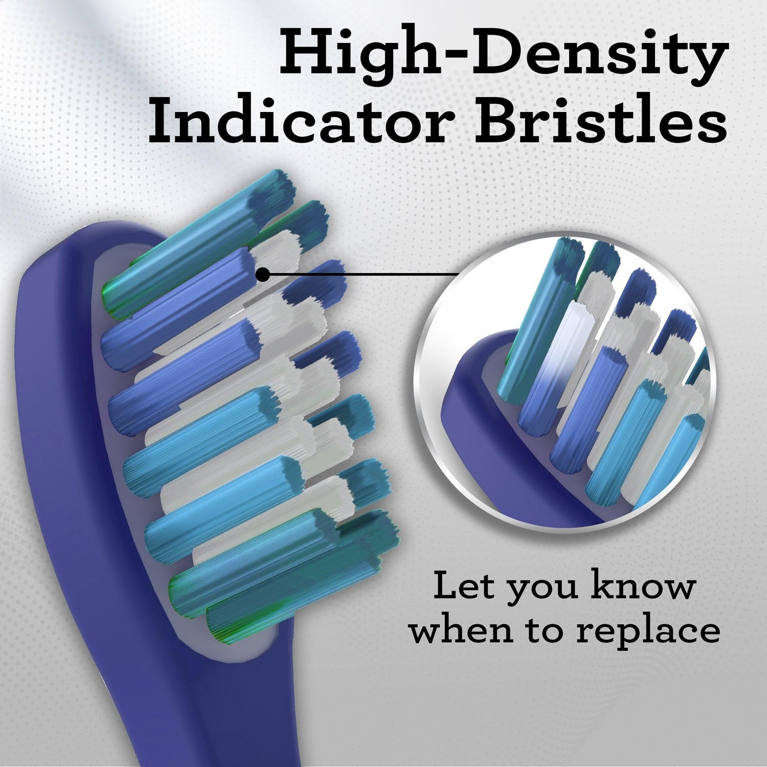 GuruNanda Lion & Lamb 2.0 Replacement Brush Head (Pack of 6) - Lavender