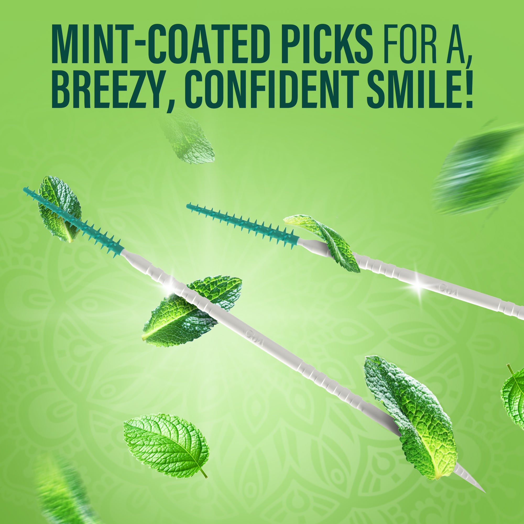 2-in-1 QuickPik Toothpick(300 Count) with Case