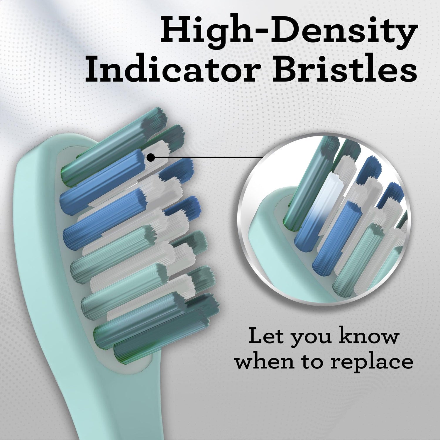 GuruNanda Lion & Lamb 2.0 Replacement Brush Head (Pack of 6) - White