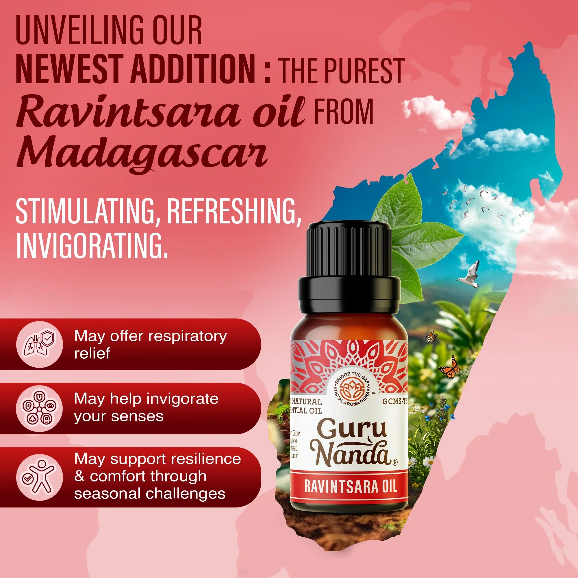 Breathe Essential Oils, 10 ML - 3 PK