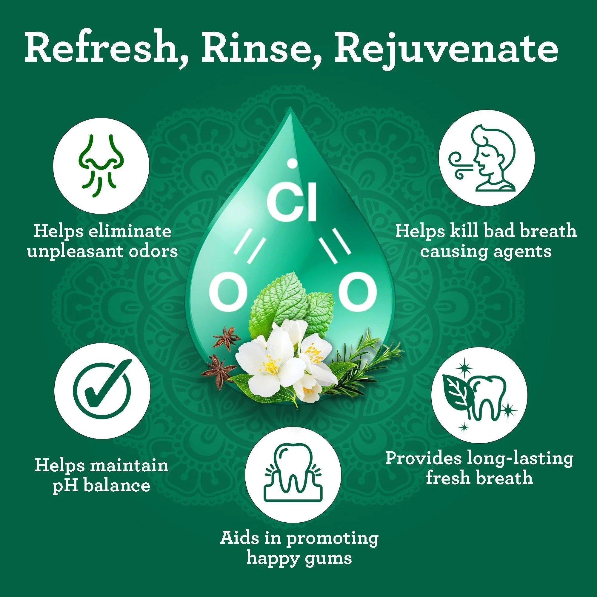 Dual Barrel Breath Harmonizer Mouthwash - Wild Mint