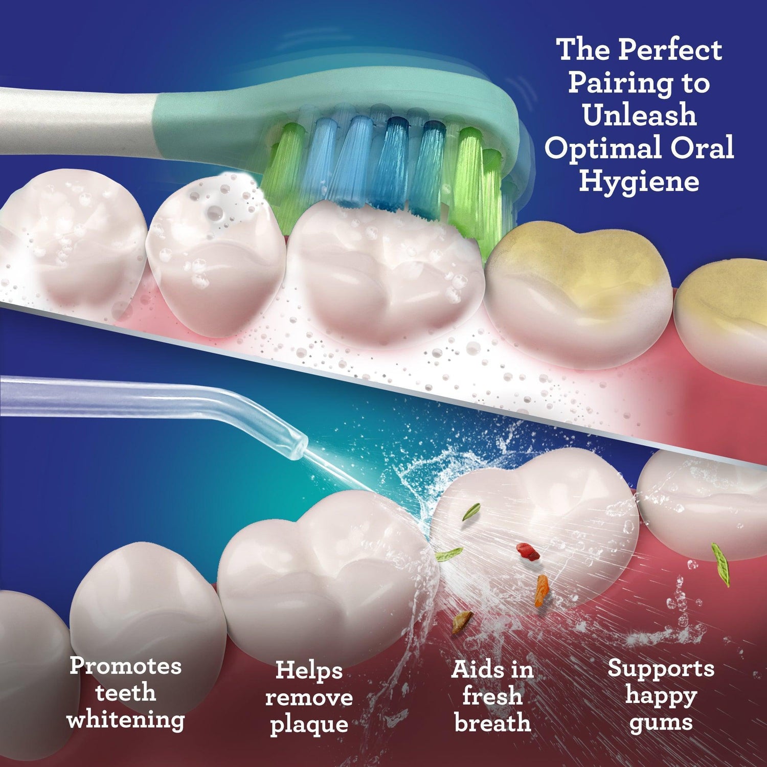 Lion & Lamb 2.0 Portable Sonic Toothbrush & Water Flosser - White