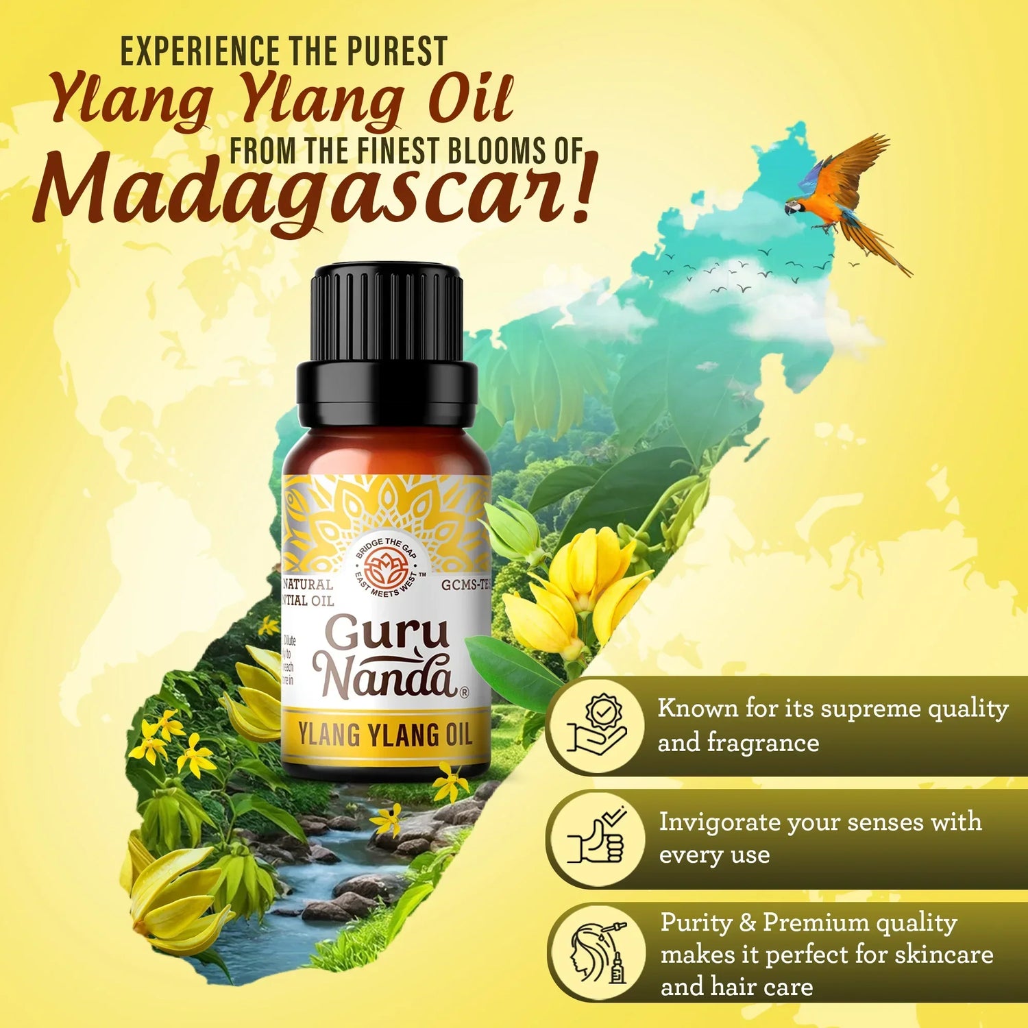 Ylang Ylang, 10 ml - 1 Pack