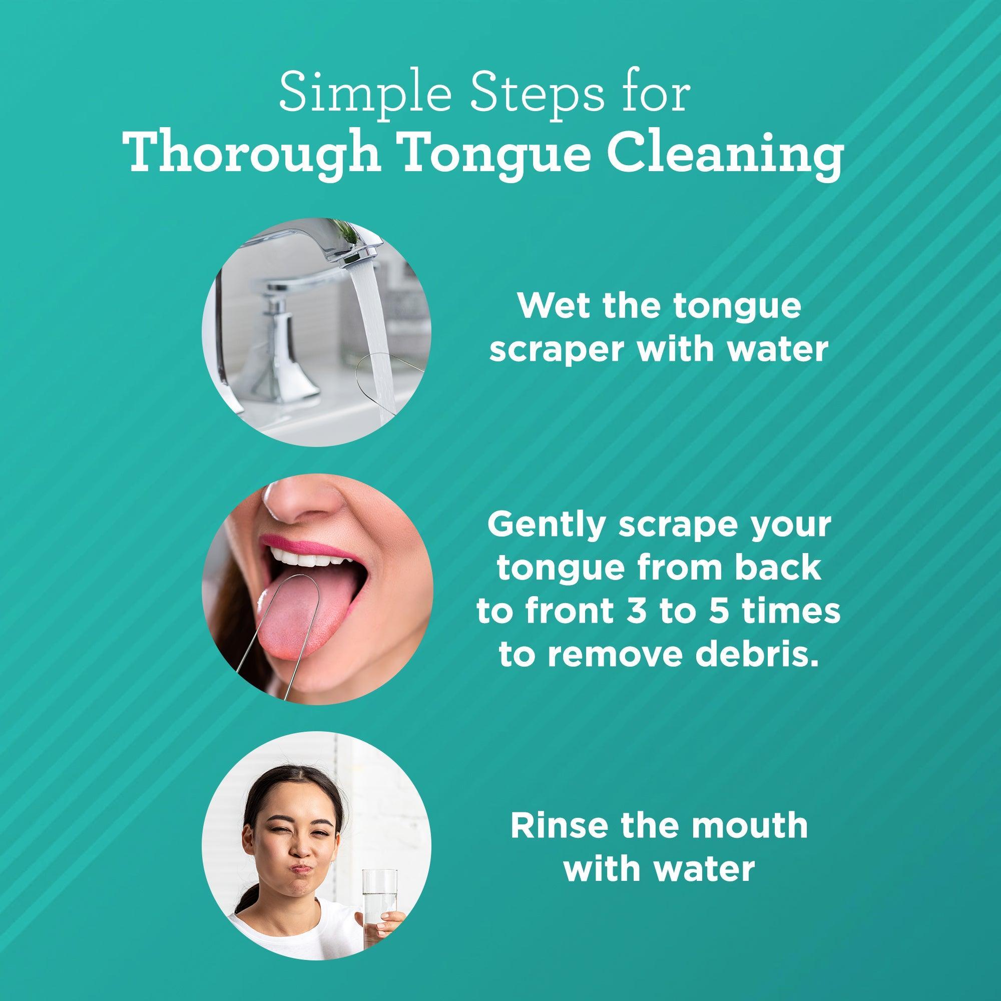 U Shaped Stainless Steel Tongue Scraper (2-Pack) - GuruNanda