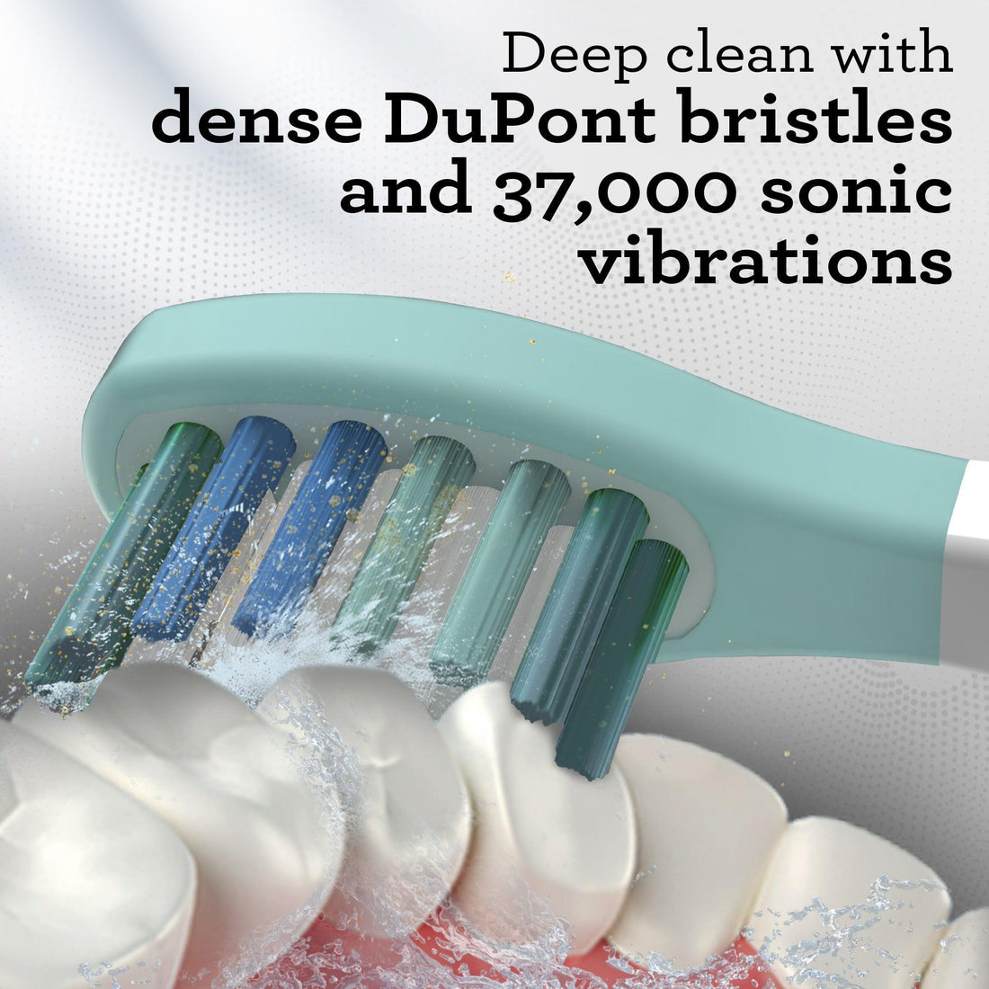 GuruNanda Lion & Lamb 2.0 Replacement Brush Head (Pack of 6) - White