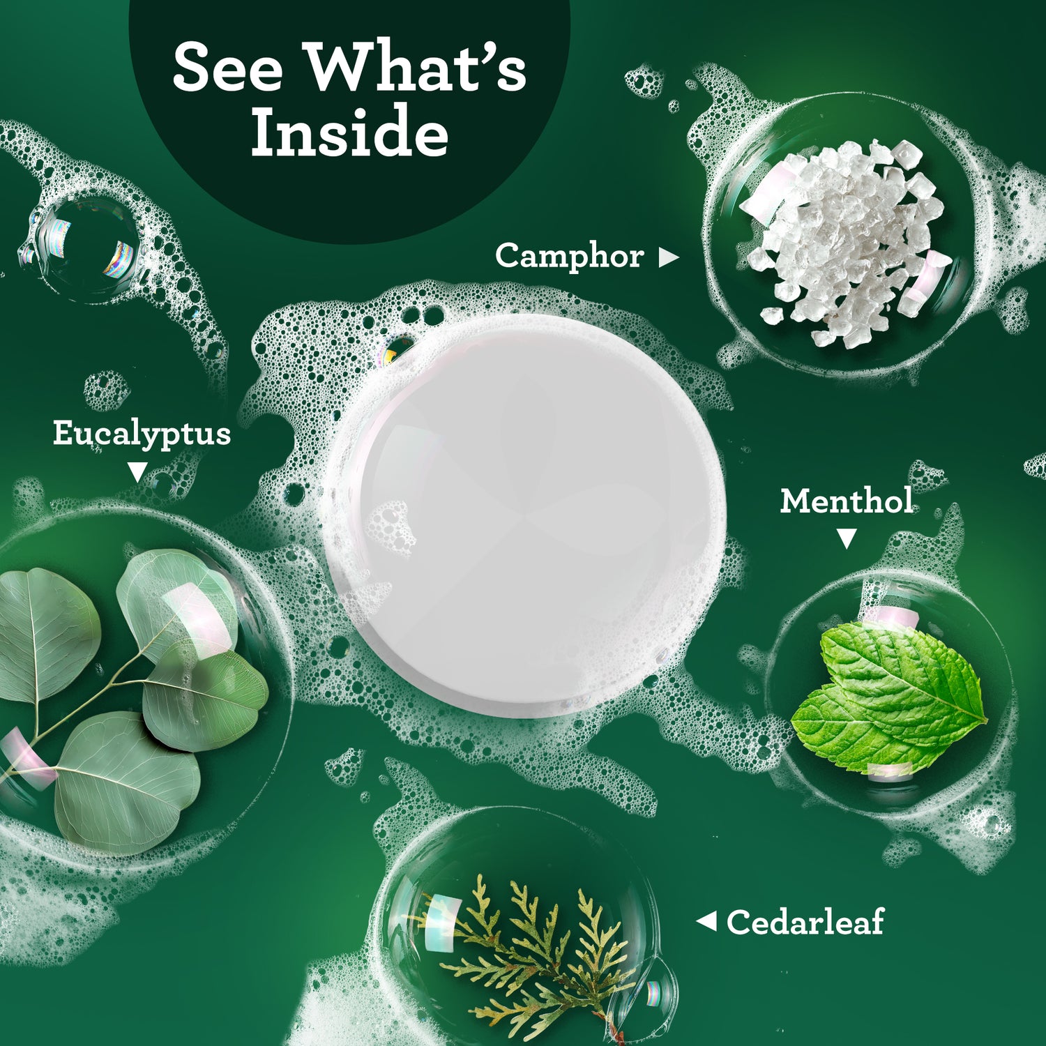 Eucalyptus Vapor Shower Tablets - 10 Count