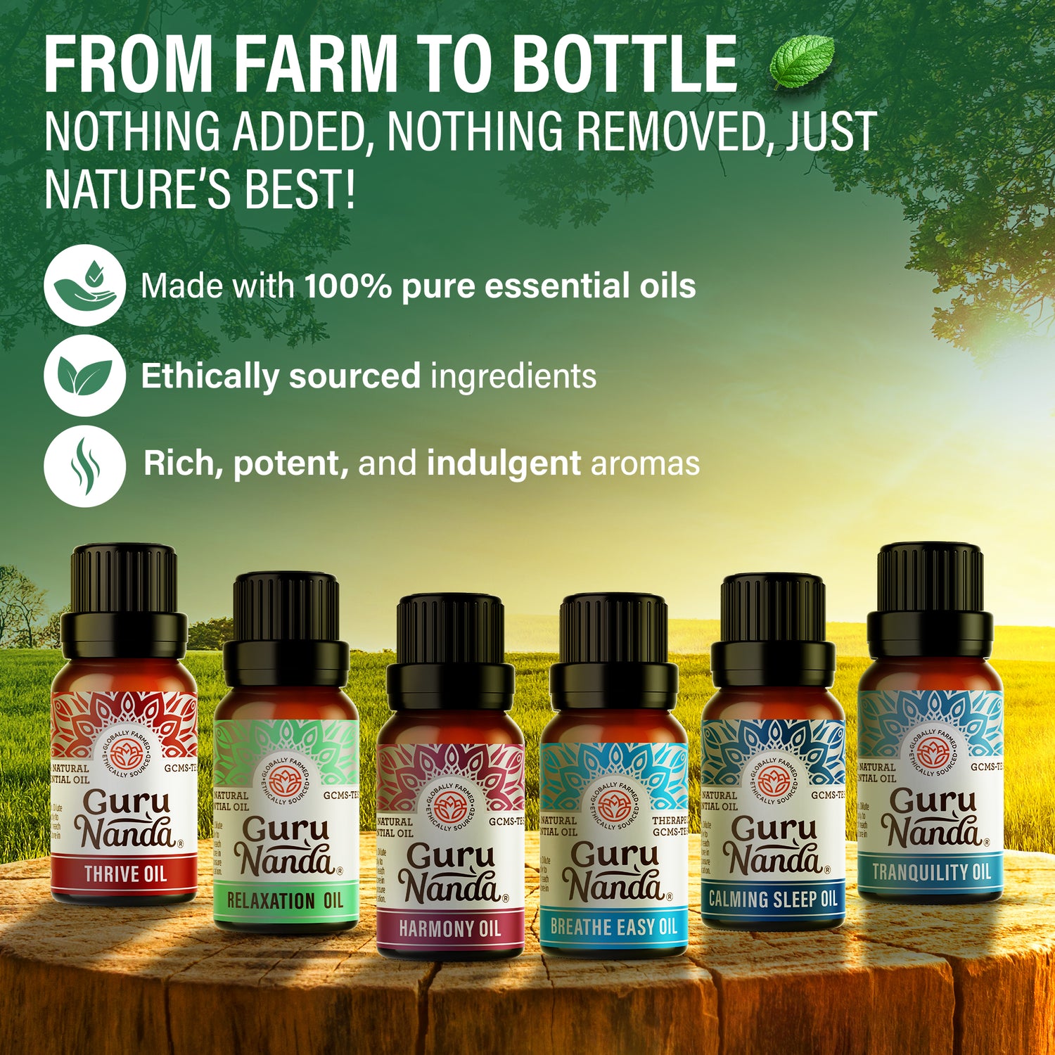 6 Essential Oil Blends Set, 10 ML