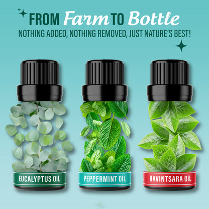 Aceites esenciales Breathe, 10 ml - Paquete de 3