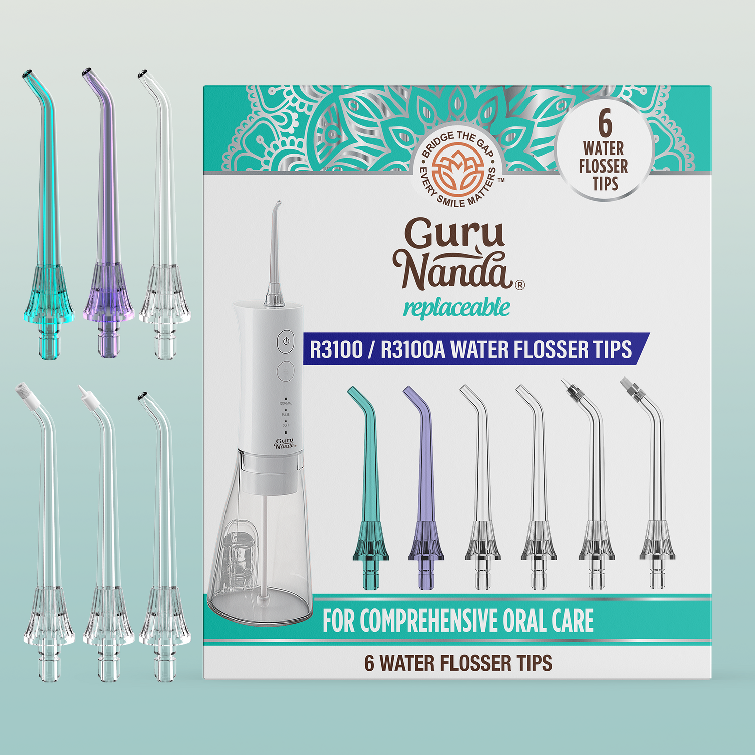 Replacement Water Flosser Tips for Model R3100/R3100A 6-Pack