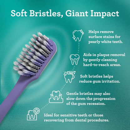 Gentle Giant Whitening Spiral Toothbrush - 4 Count