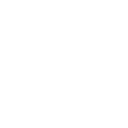 Alcohol-Free, Fluoride-Free & Safe for Daily Use