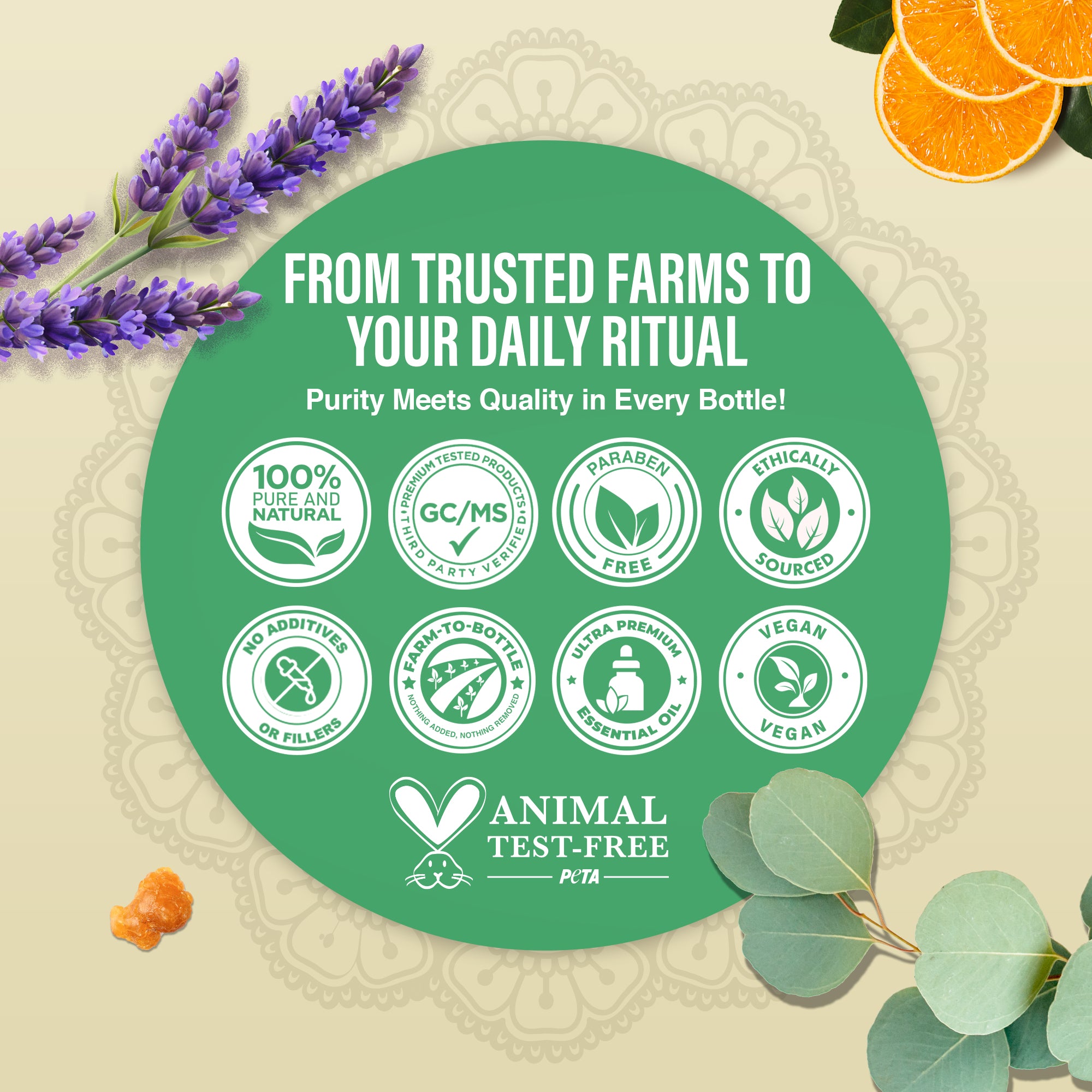 Four Essential Classics Set- Frankincense, Lavender, Eucalyptus, &amp; Orange 4 x 15mL