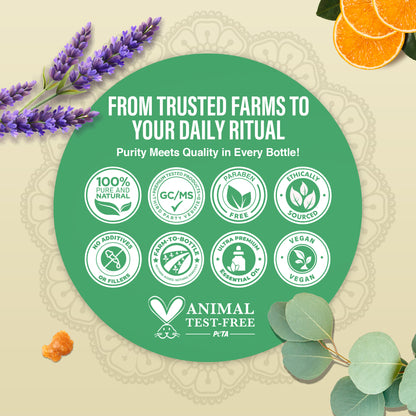 Four Essential Classics Set- Frankincense, Lavender, Eucalyptus, &amp; Orange 4 x 15mL