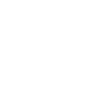 100% Pure & Undiluted Oils (GC/MS Tested)