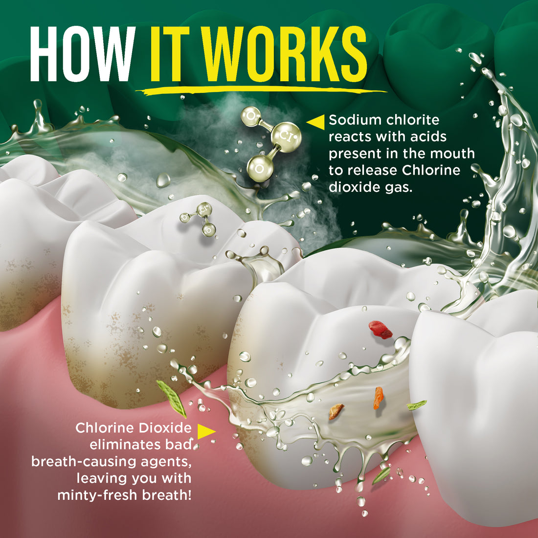 Oral Rinse Breath Harmonizer Mouthwash, Wild Mint - 2 Pack