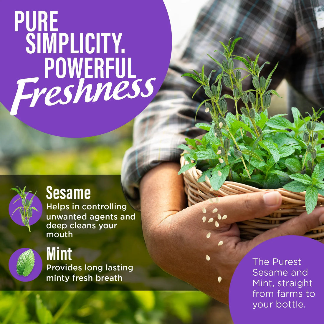 Exfoliación con aceite de sésamo y menta - 8 oz