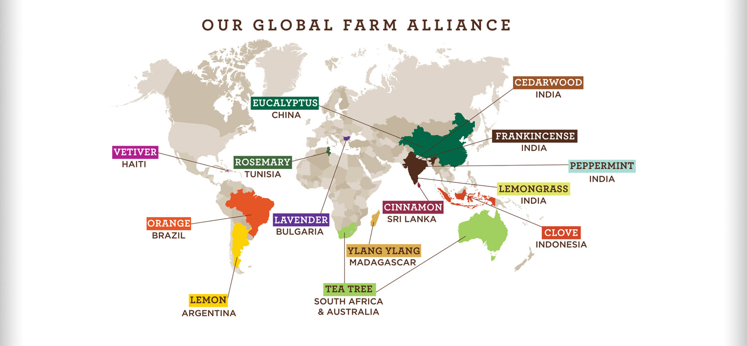 GuruNanda Global Farm Alliance