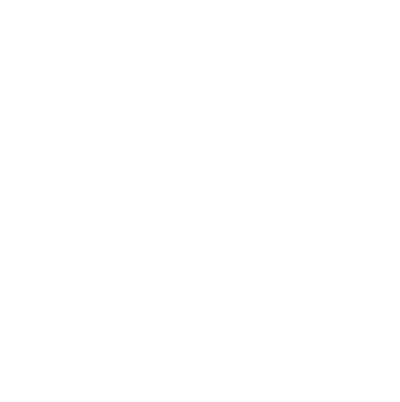 No Artificial Colors, Flavors or Sulfates