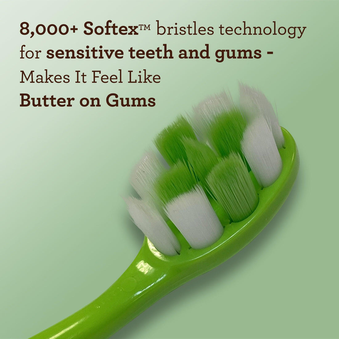 Butter on Gums Toothbrush (8 Count) - GuruNanda