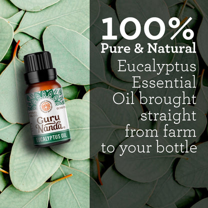 Eucalyptus Essential Oil (2-Pack) - GuruNanda