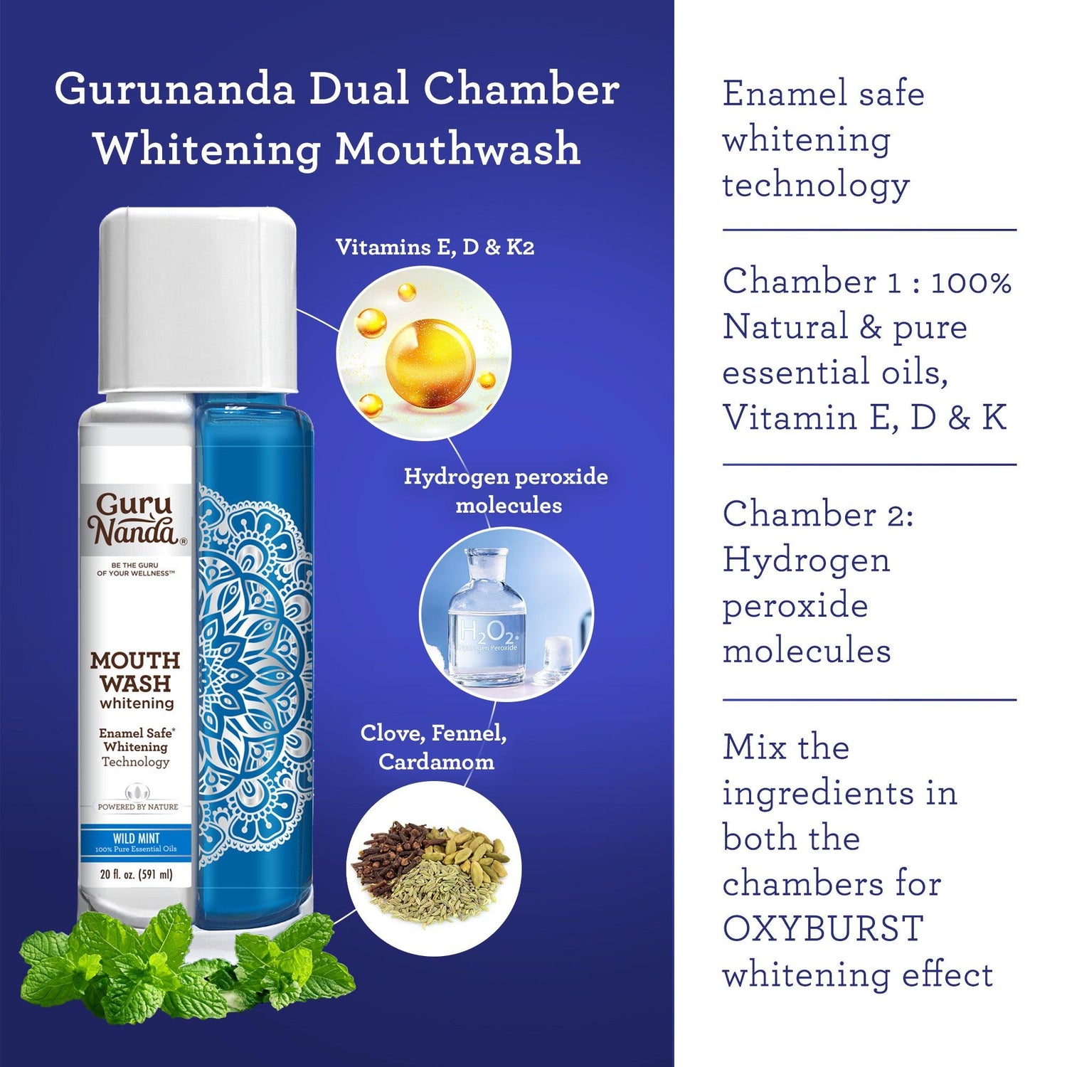 GuruNanda Razzle Dazzle Whitening Kit - GuruNanda