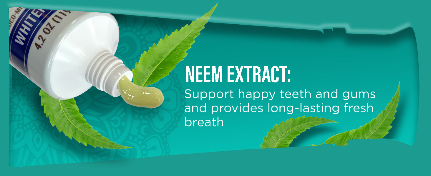GuruNanda Hydroxyapatite & Neem Whitening Toothpaste