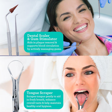 Stainless Steel Dental Kit with Travel Case