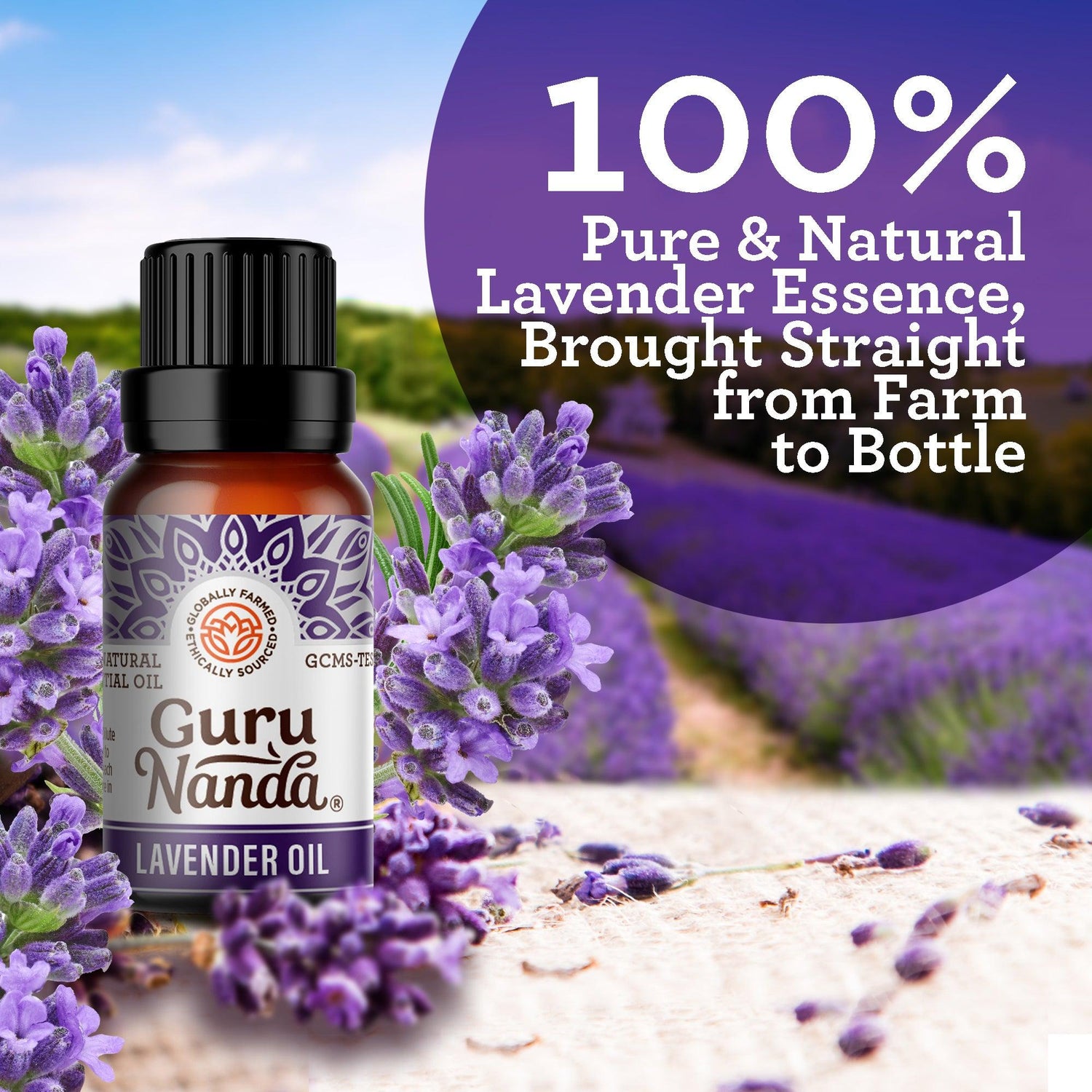 True Lavender Essential Oil, 15 ML - 2 PK - GuruNanda