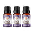 True Lavender Essential Oil, 30 ML - 3 PK - GuruNanda