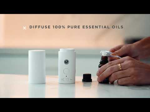 The Waterless Mist Pluggy